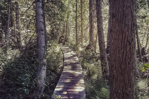 Champion Lakes Provincial Park