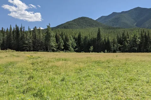 Etherington Creek Provincial Recreational Area