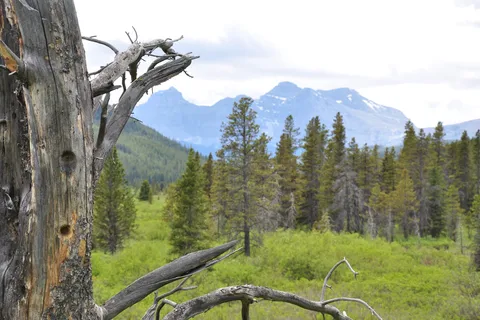 Etherington Creek Provincial Recreational Area