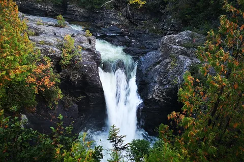 Gaspesie National Park (provincial park)