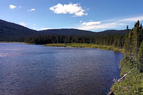 Gaspesie National Park (provincial park)