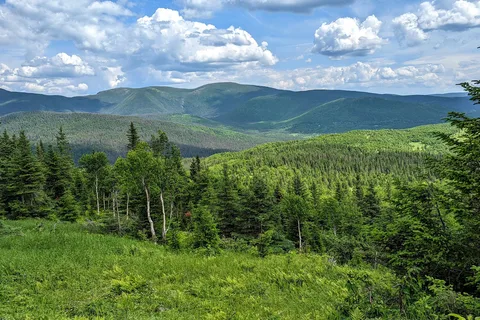 Gaspesie National Park (provincial park)
