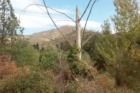 Valley Of The Rogue State Park