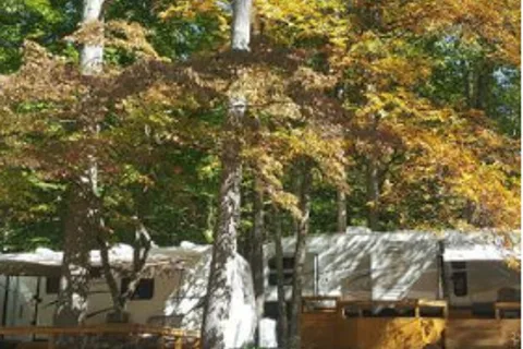 Walnut Creek Campground and Resort