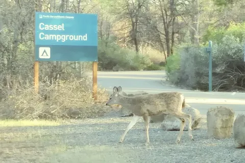Cassel Campground - PGE