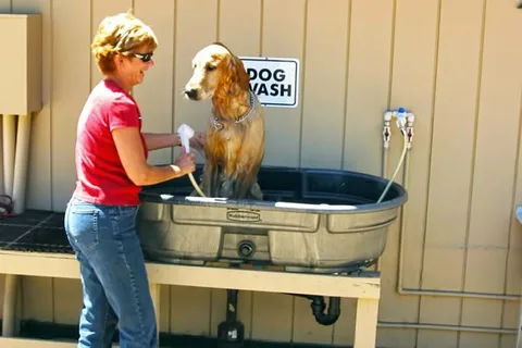 Pioneer RV Park