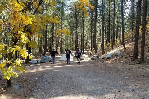 Pioneer RV Park