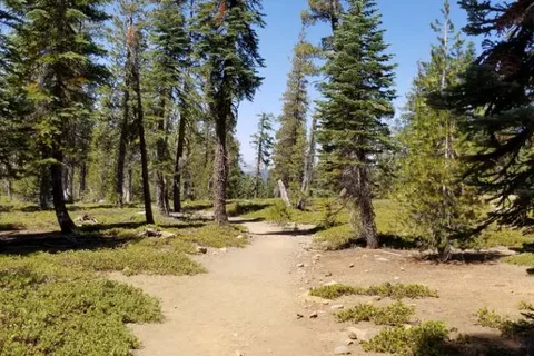 Pioneer RV Park