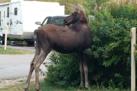 By the Way Campground