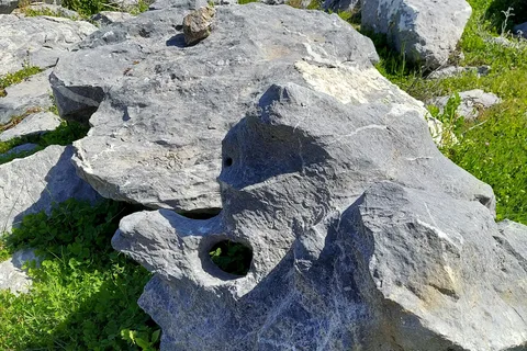 Lime Saddle - Lake Oroville State Recreation Area