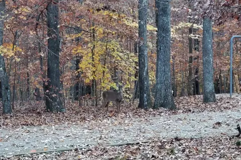 Horseshoe - James River State Park