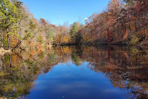 Horseshoe - James River State Park
