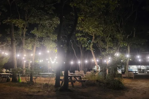 Martha's Vineyard Family Campground