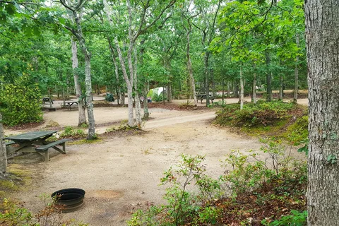 Martha's Vineyard Family Campground