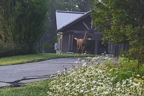 Green Valley State Park