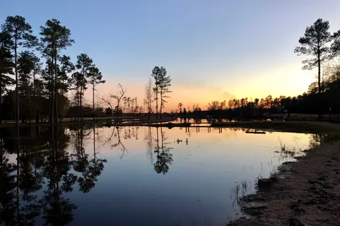 Trinity Luxury RV Resort and Cabins