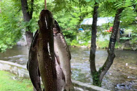 Smokey Mountain Campground