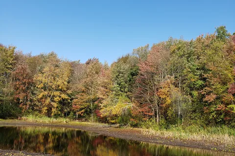 Hickory Ridge RV Resort