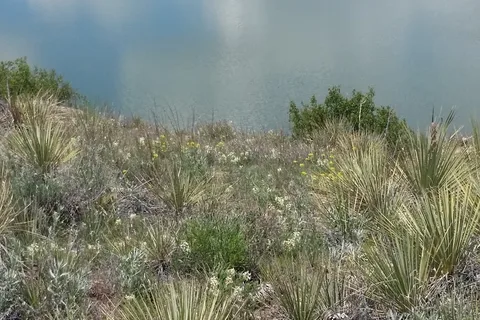 Karval Reservoir State Wildlife Area - South