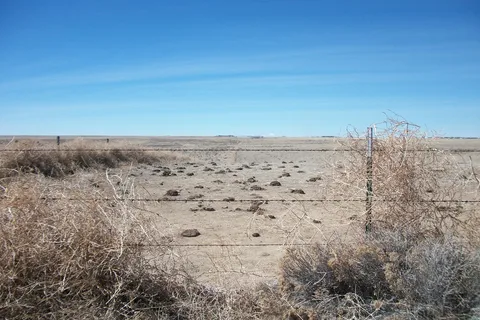 Karval Reservoir State Wildlife Area - South