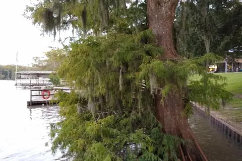 Myers Landing