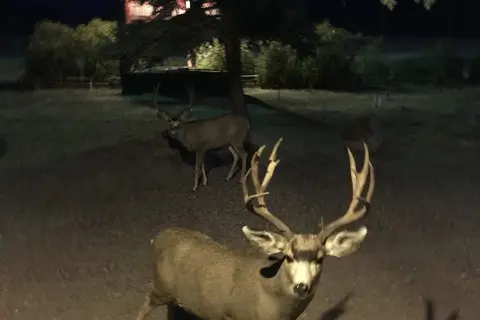 South Fork Lodge and RV Park