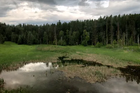 Whitefish Lake State Park