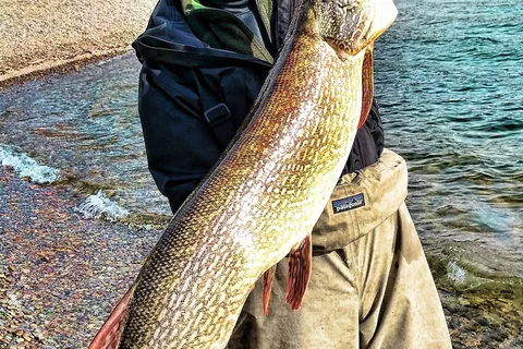 Whitefish Lake State Park