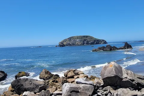 Harris Beach State Park