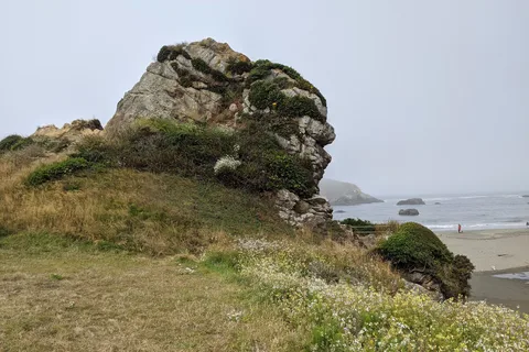 Harris Beach State Park