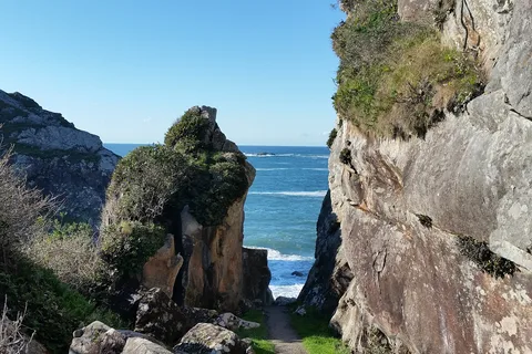 Harris Beach State Park