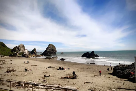 Harris Beach State Park