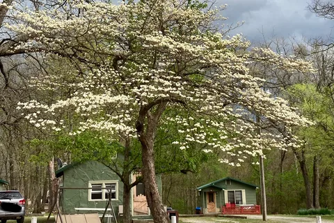 Oak Hill Court and RV Park