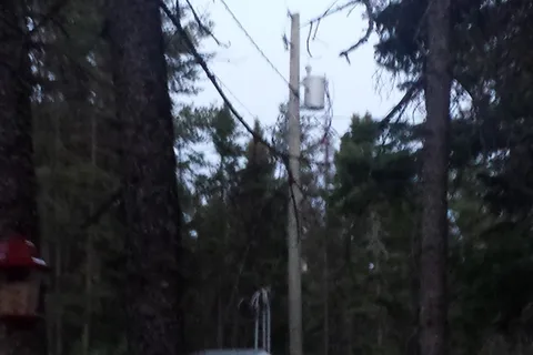 Lone Pine Park and Cabins
