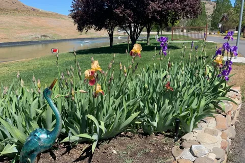 Klamath Ranch Resort Blue Heron RV Park