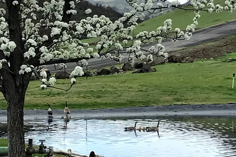 Klamath Ranch Resort Blue Heron RV Park