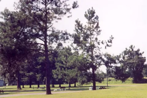 Enfield / Rocky Mount KOA Journey