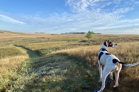 Craik and District Regional Park