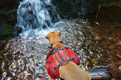 Lost Creek Outpost - Porcupine Mountains State Park
