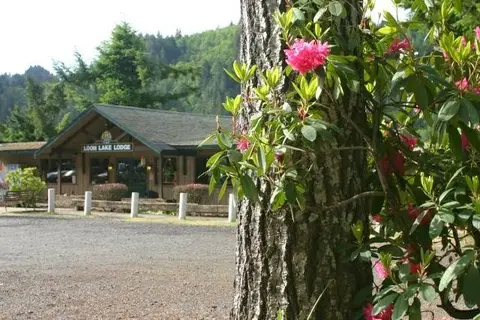 Loon Lake Lodge and RV Resort