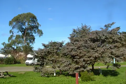 Hidden Pines RV Campground
