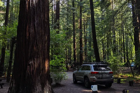 Burlington - Humboldt Redwoods State Park