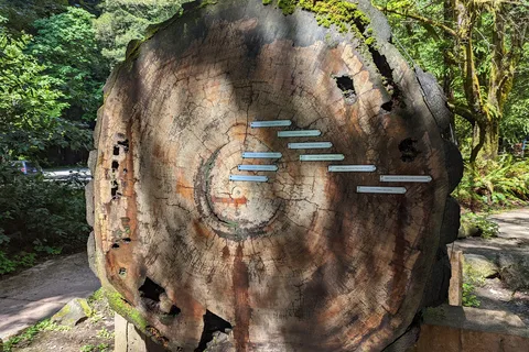 Burlington - Humboldt Redwoods State Park