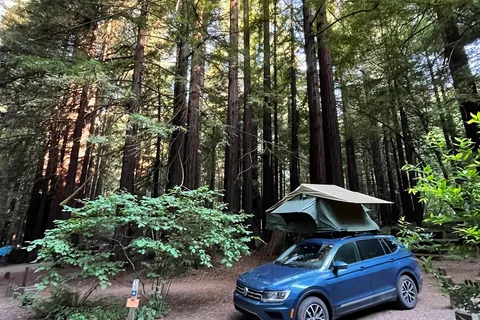 Burlington - Humboldt Redwoods State Park