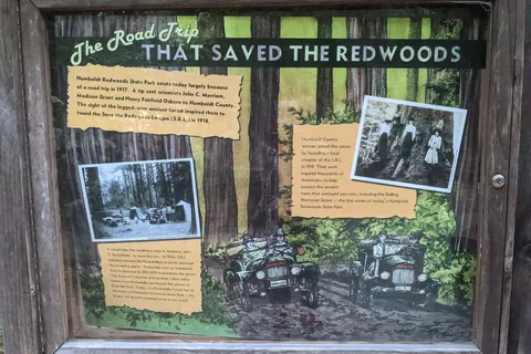 Burlington - Humboldt Redwoods State Park