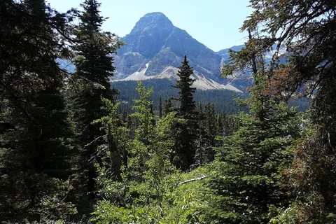 Cut Bank Campground - Glacier National Park