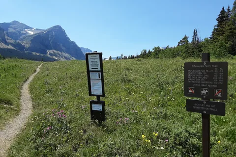 Cut Bank Campground - Glacier National Park