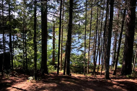 Lac Dunbar - Saint Maurice Reserve