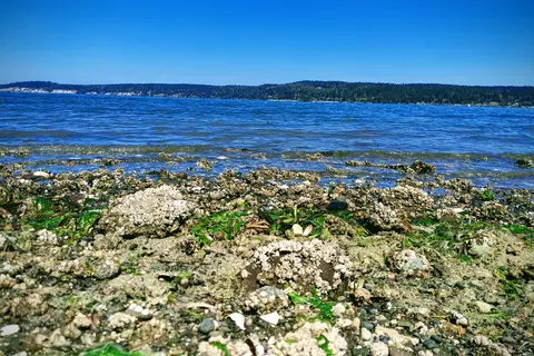 Sequim Bay State Park