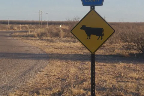 The Ranch RV Park